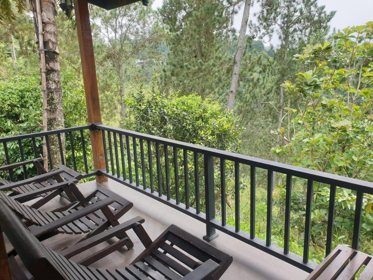 Ella Mount Relax Cottage Εξωτερικό φωτογραφία
