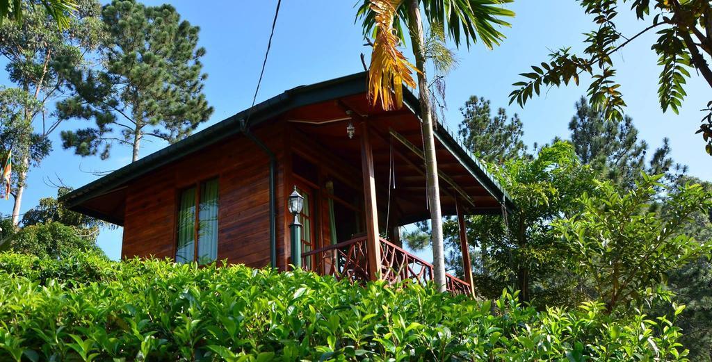 Ella Mount Relax Cottage Εξωτερικό φωτογραφία